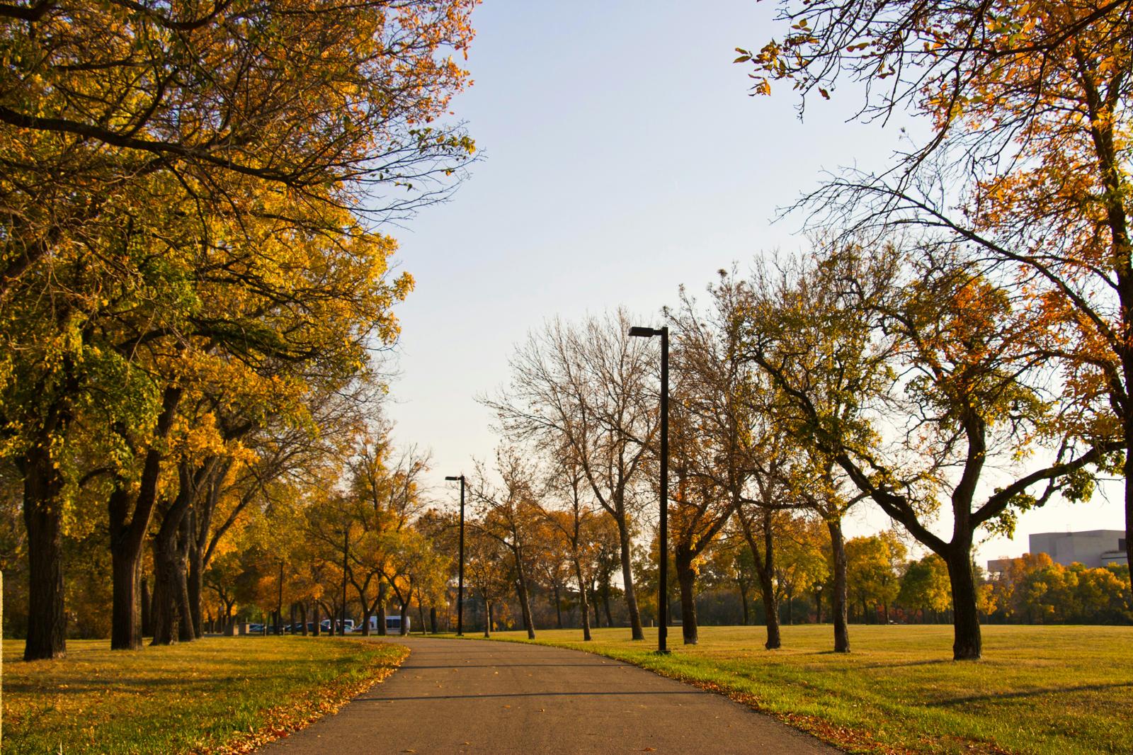 Regina park in autumn